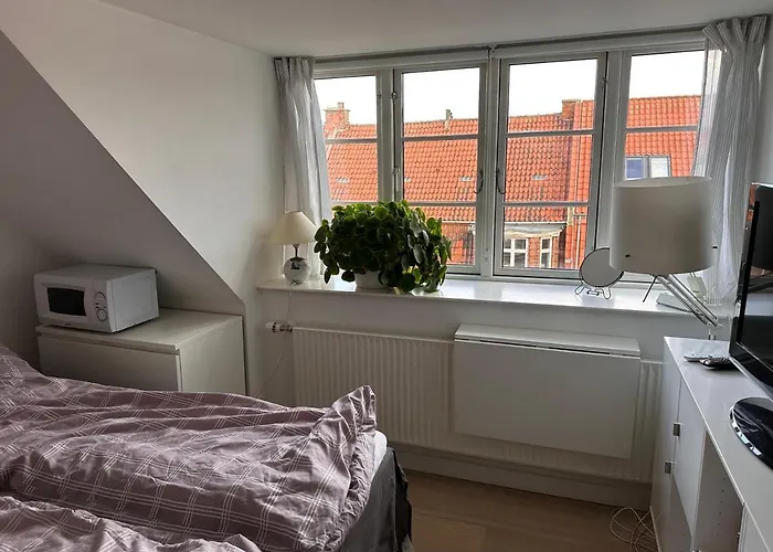 Vaerelse I Med Udsigt Og Ro * Århus
